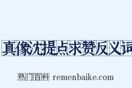 真像沈提点求赞反义词是什么意思的图片